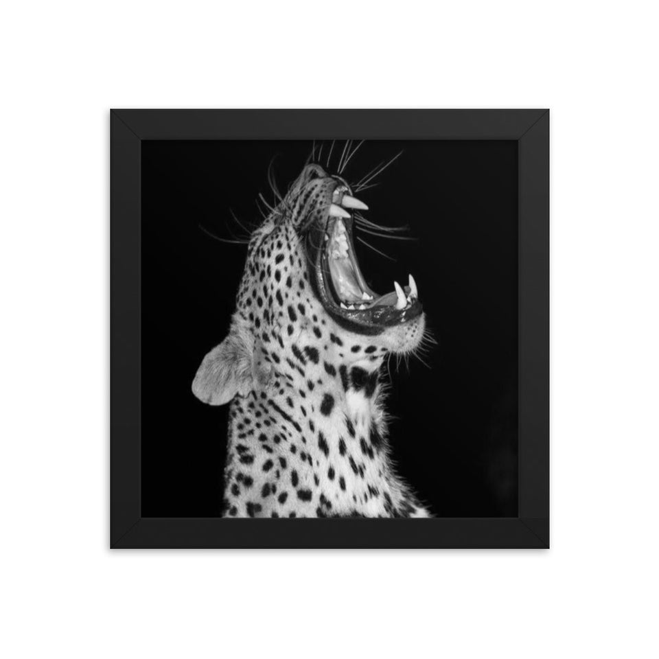 Leopard Framed Poster